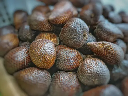 bahasa inggris buah-buahan lokal