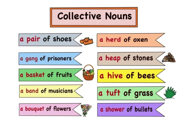 collective noun