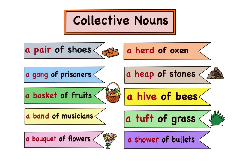 collective noun