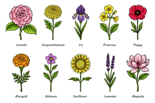 nama nama bunga dalam bahasa inggris