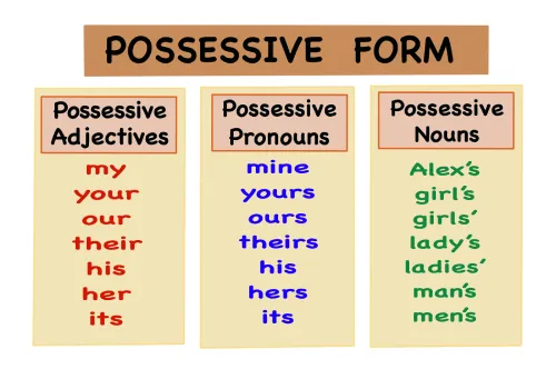 possessive adjective