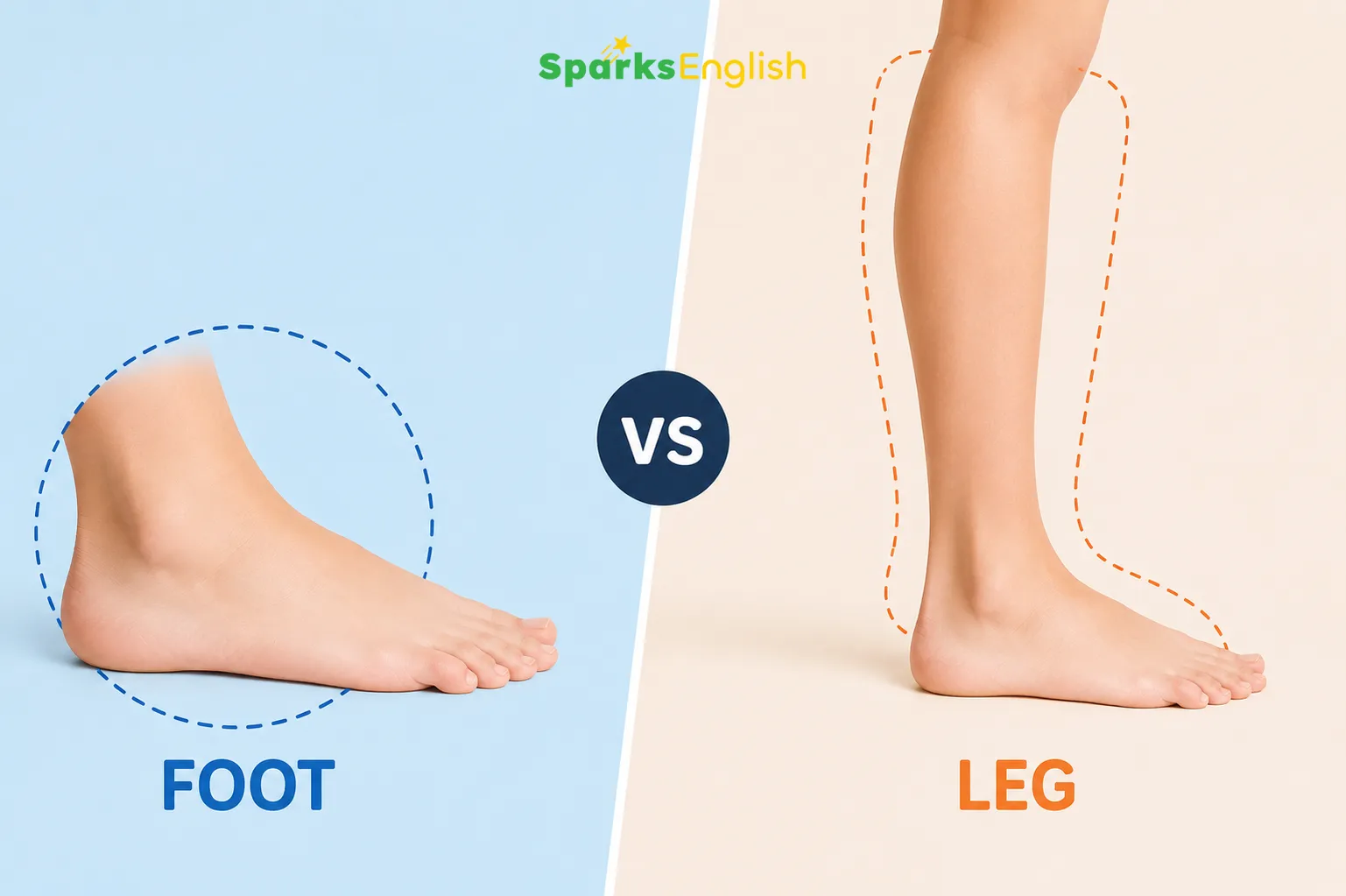 Bedanya leg dan foot bahasa Inggris