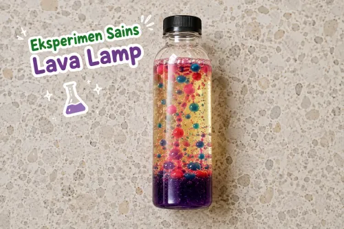 Eksperimen untuk anak tk Lava Lamp