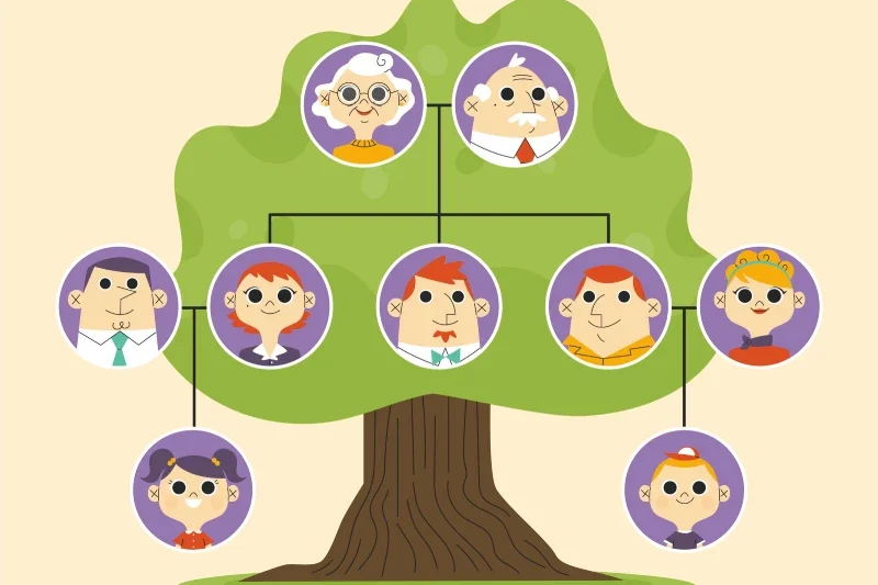 Family tree bahasa inggris