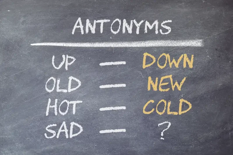 antonim bahasa inggris