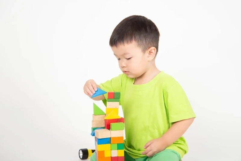 toddler adalah